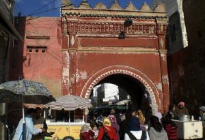 باب النوادر